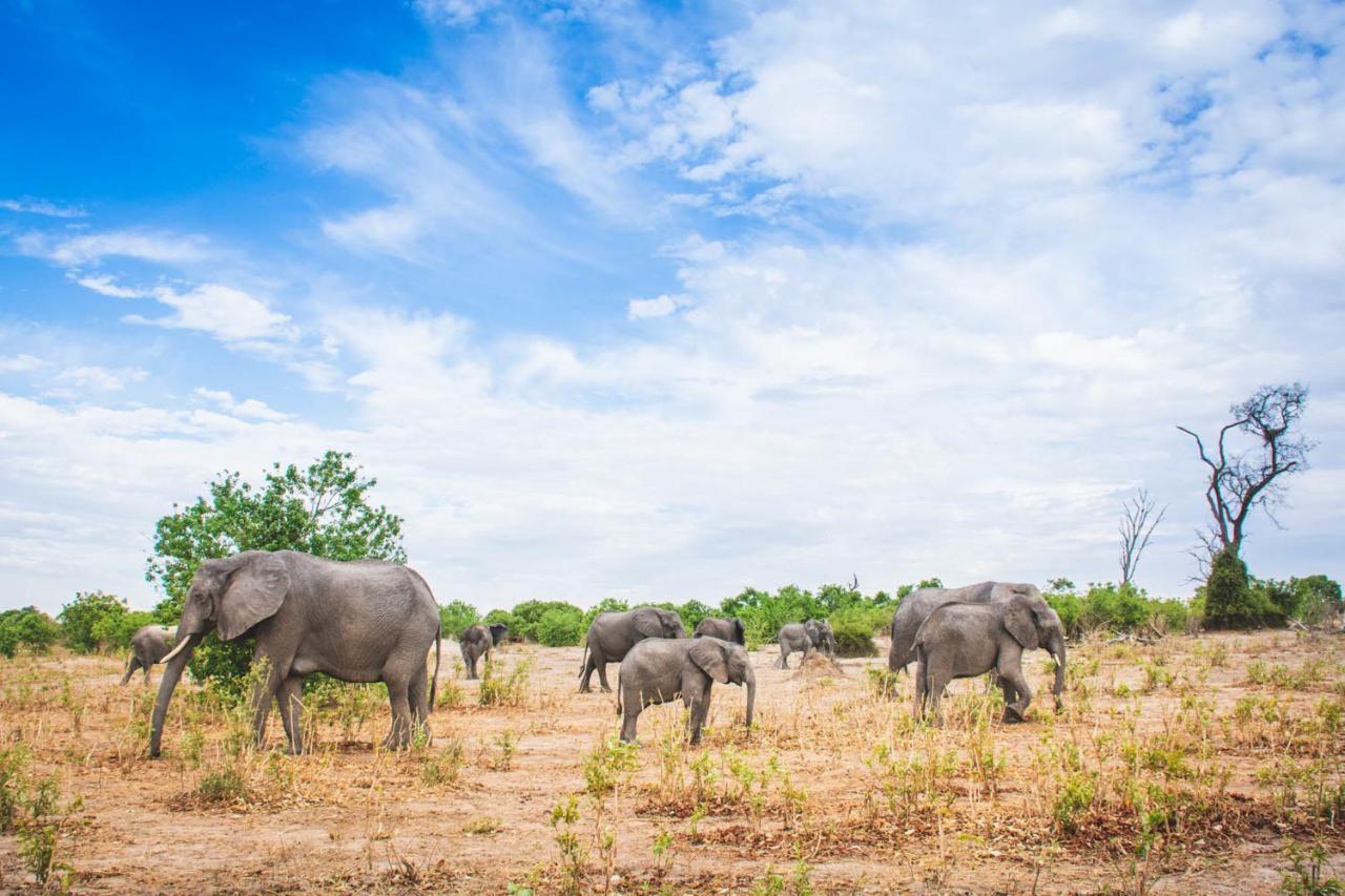 Chobe Safari Lodges Kasane Extérieur photo