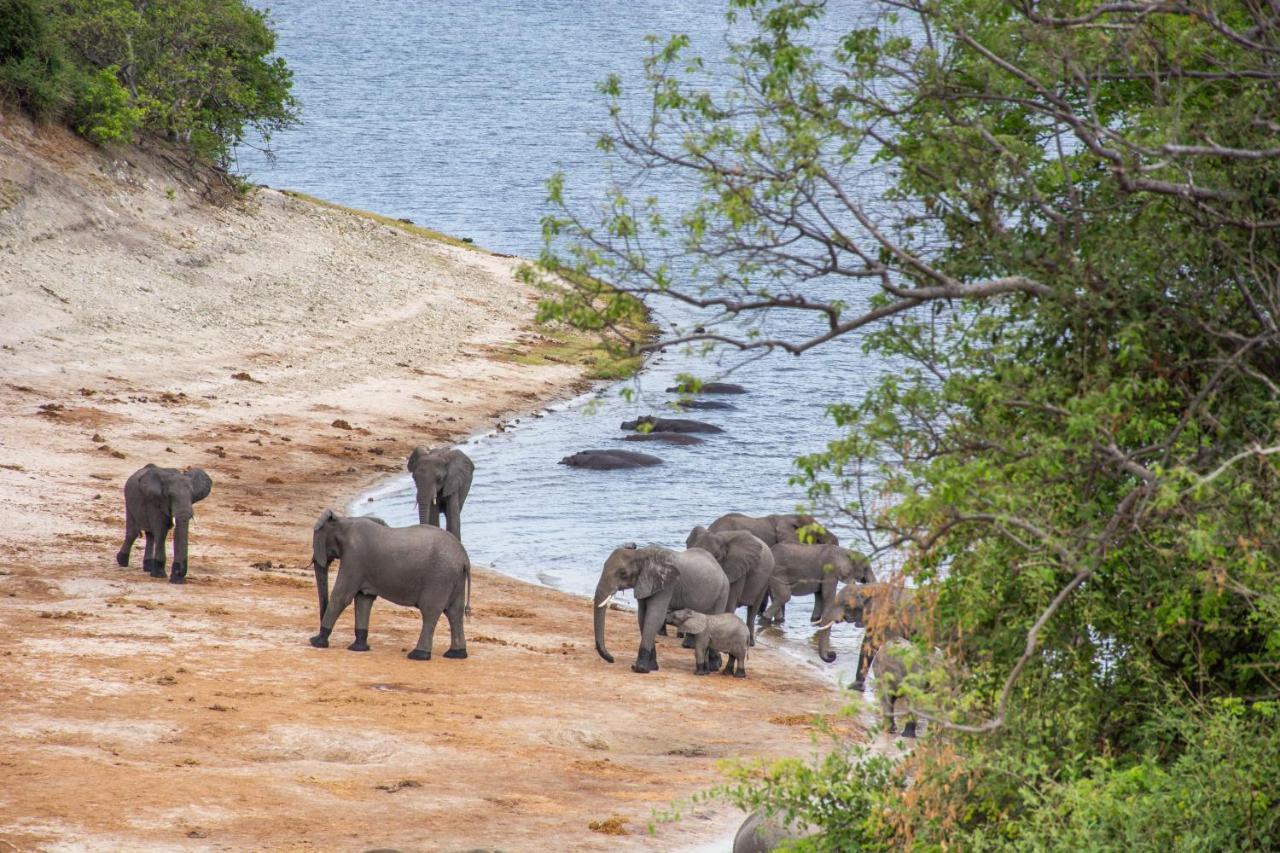 Chobe Safari Lodges Kasane Extérieur photo